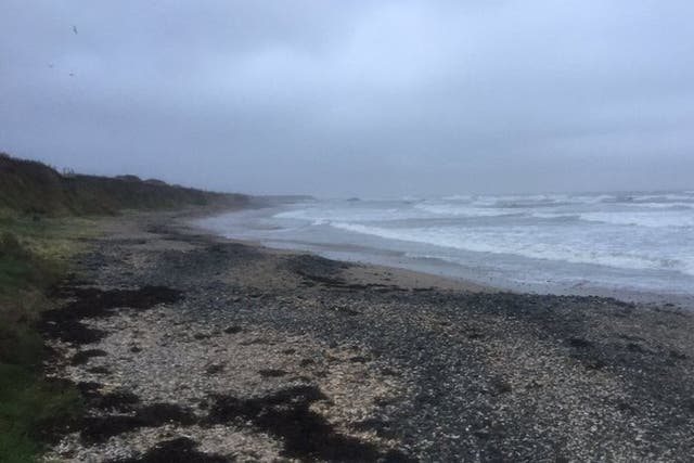 An investigation is under way after the body of a newborn baby was found at a Dublin beach.