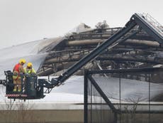 Small birds, fish, frogs and insects killed in Chester Zoo fire