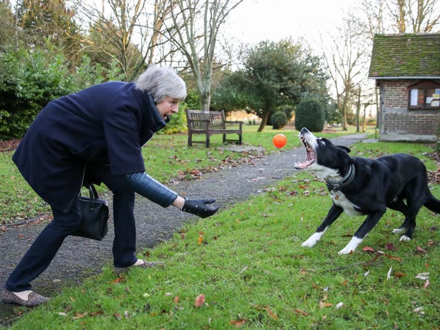 Theresa May throws a ball for a border collie called Blitz as she and her husband Philip leave following a church service near her Maidenhead constituency