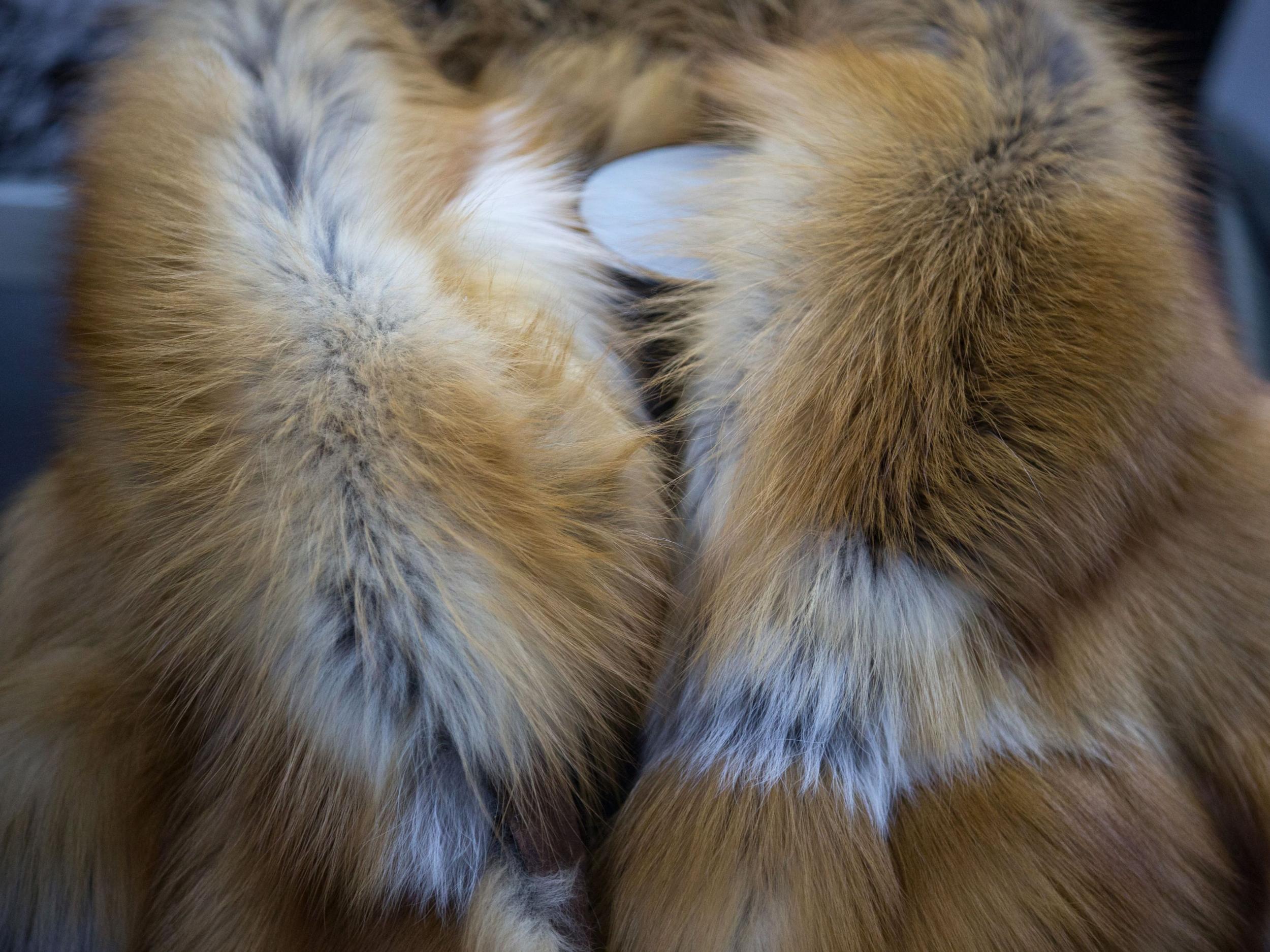 A luxury sable fur coat sits on a mannequin in Yakutsk, Russia