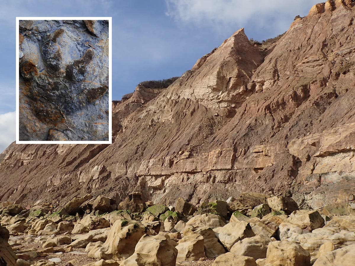 ‘Treasure trove’ of dinosaur footprints revealed after storms destroy