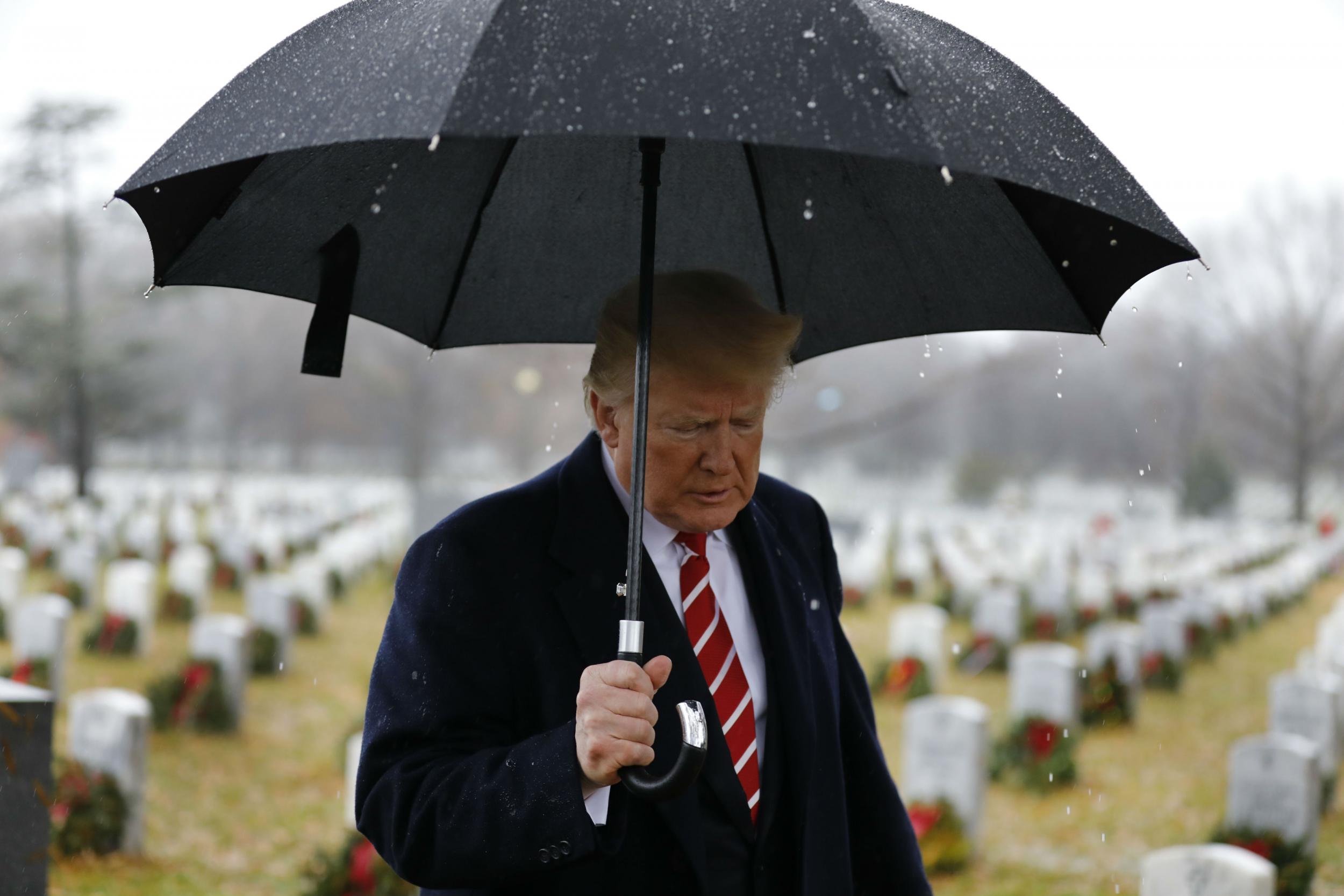 The purge of famous Black, Hispanic and female war veterans comes after President Donald Trump, pictured at Arlington National Cemetery during his first administration, issued an executive order banning DEI in federal programs.