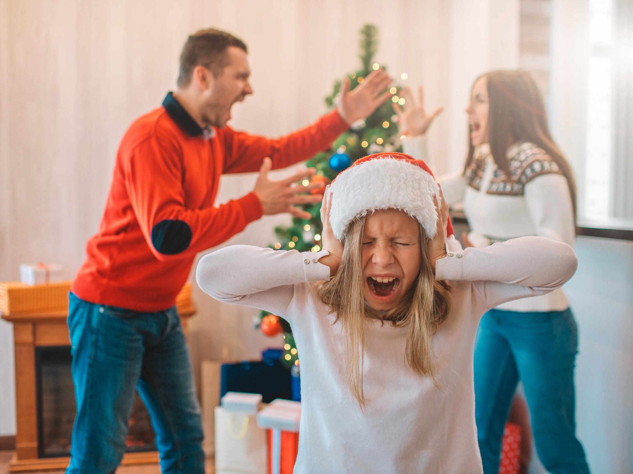 The average family will have at least one row on Christmas Day, according to the survey