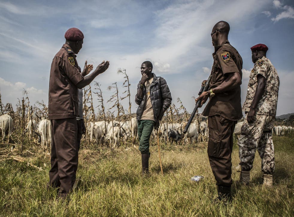 Members of the Barkin Ladi division of the Vigilante Groups of Nigeria urge a young herder to keep animals off farmland with crops in Nigeria