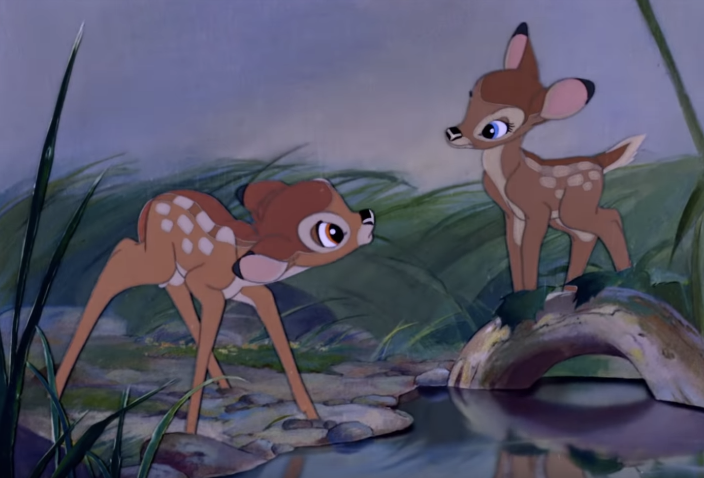 Bambi Amp Father Porn - Poacher sentenced to monthly viewings of Disney's 'Bambi ...