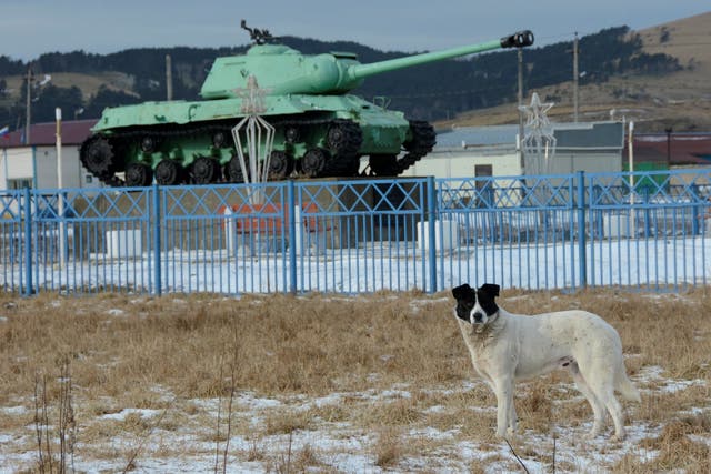 A dog stands in front of a Soviet IS-2 tank, a World War II monument, in the village of Malokurilskoye on the island of Shikotan, Southern Kurils, Russia