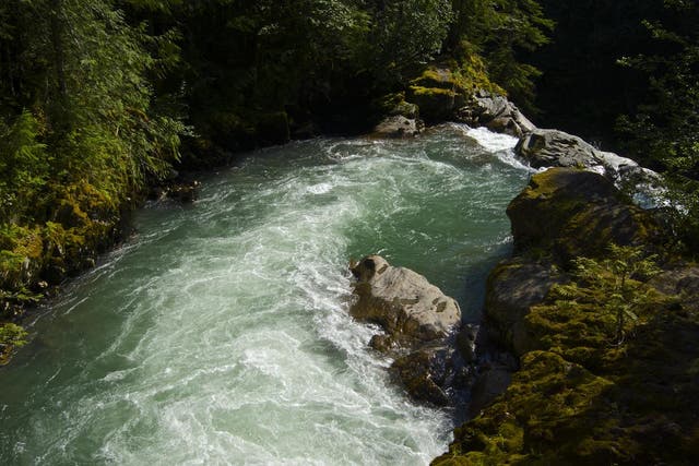 The Nooksack River in Washington state
