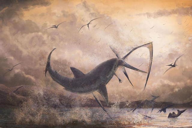 Artist's impression of a prehistoric shark snatching a Pteranodon from the sky