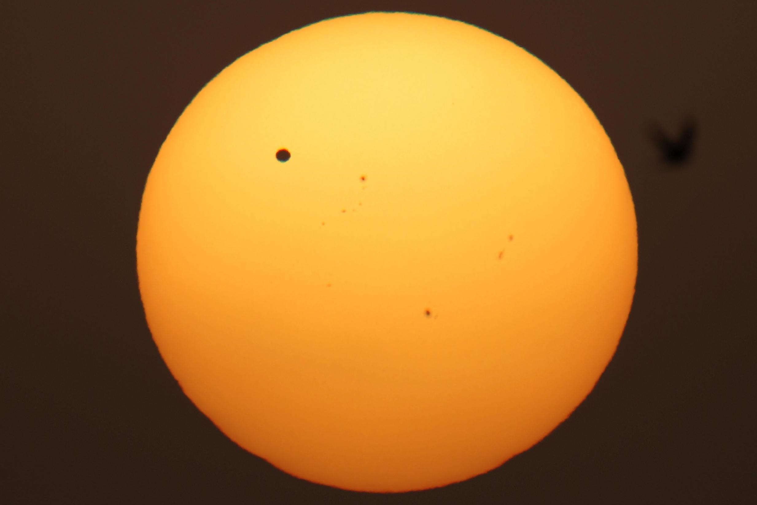 Shining bright: Venus passes in front of the Sun, as seen from the UAE in 2012 (Rex)