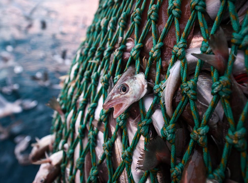 The agreement has been described as “less than what was hoped” by the Scottish fishing industry