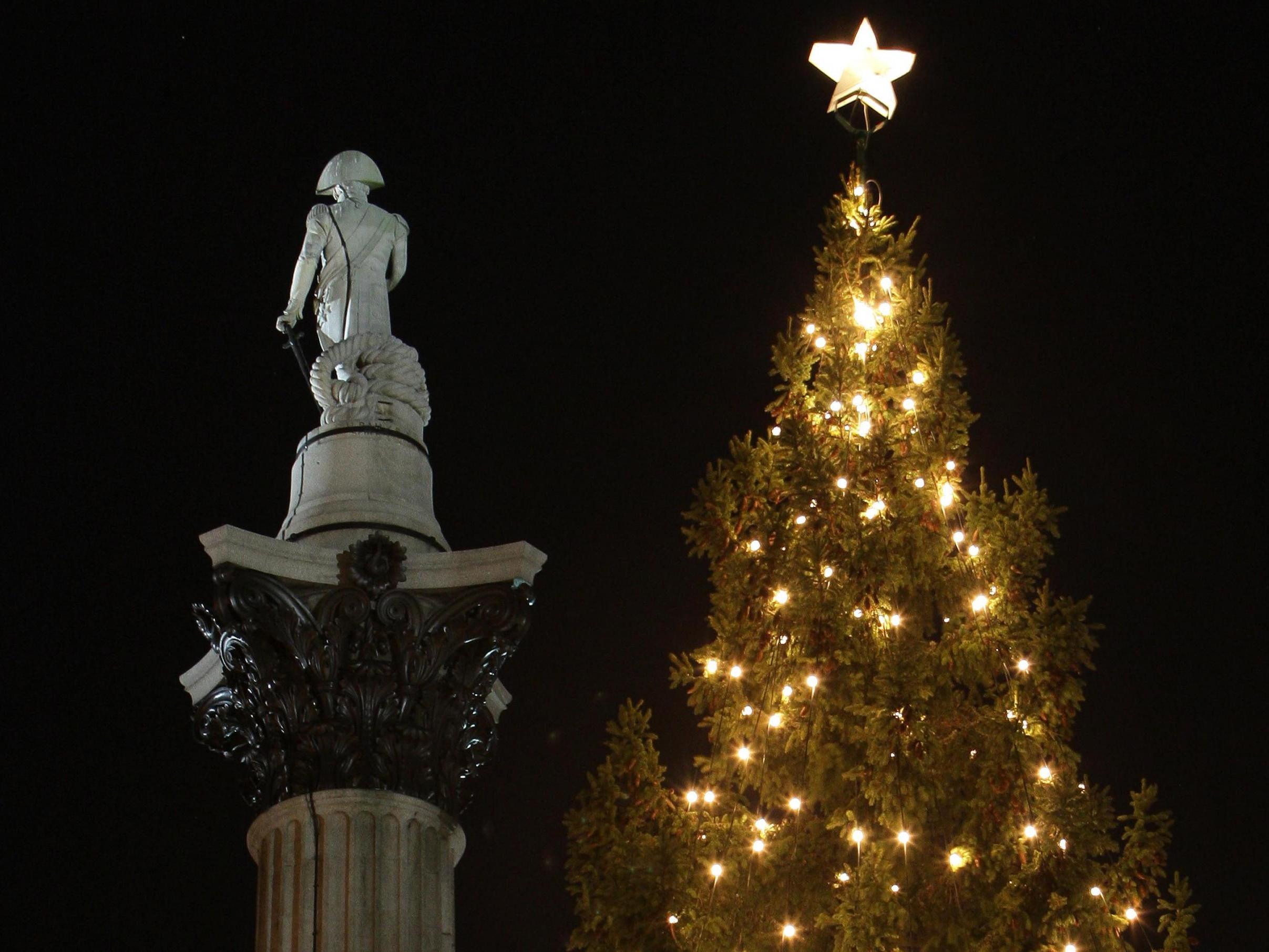 The Christmas Tree in Trafalgar Square, London