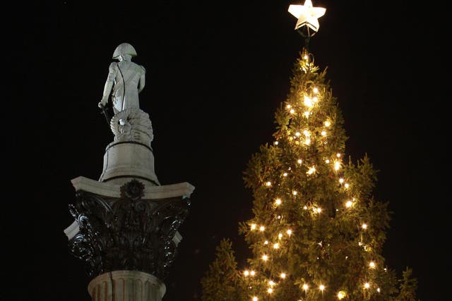 The Christmas Tree in Trafalgar Square, London