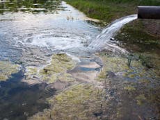 Raw sewage being dumped in environment secretary Therese Coffey’s own constituency