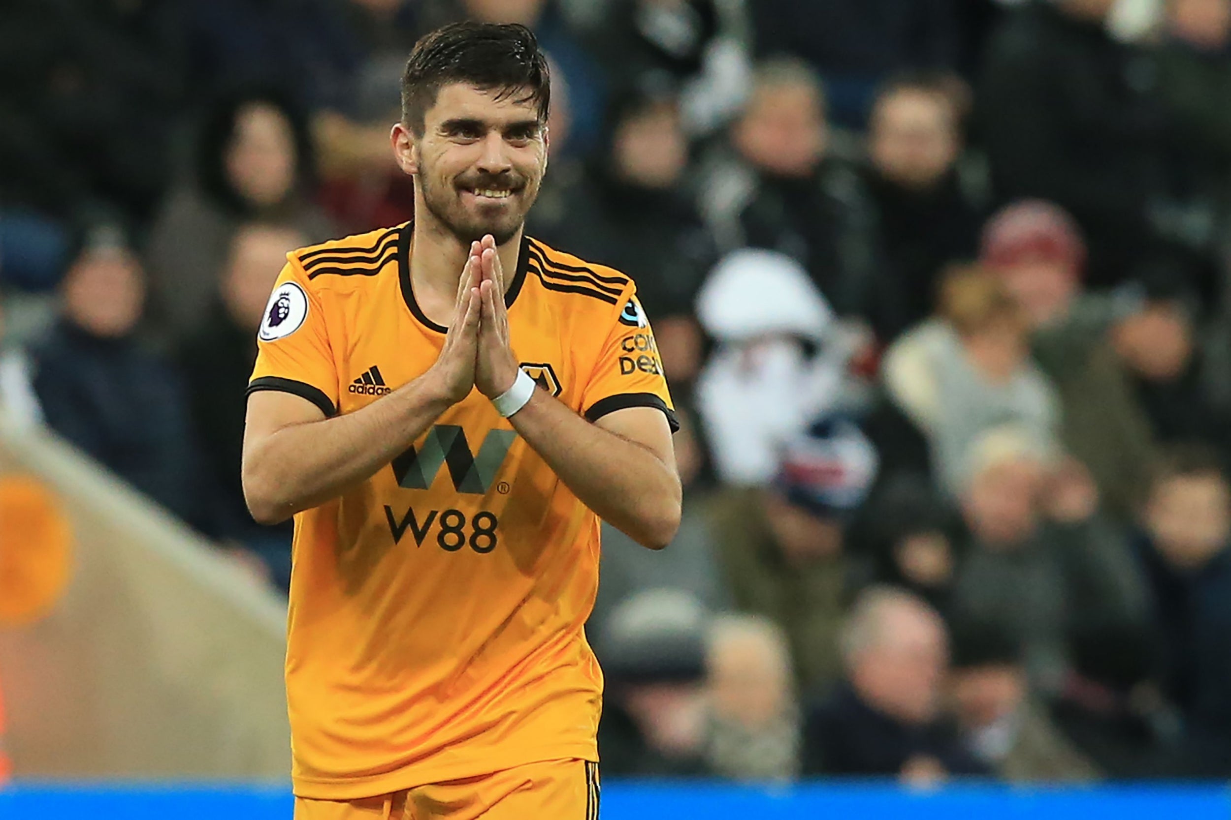 Ruben Neves has been integral to Wolves' success this season (AFP/Getty)