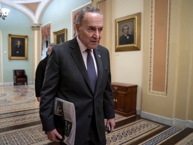 The border wall 'will never pass the senate, not today, not next week, not next year', said Chuck Schumer