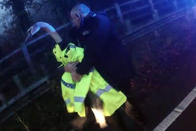 A swan was rescued by police in Basingstoke after it blocked a major road