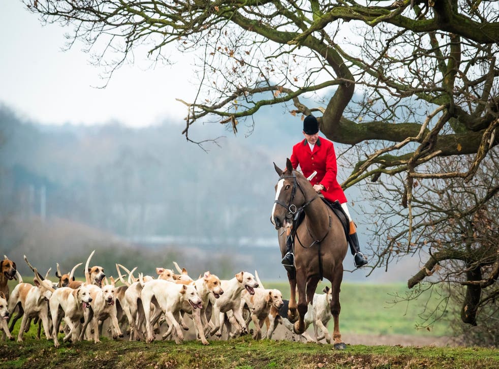 Boxing Day hunts have caused clashes across the country 
