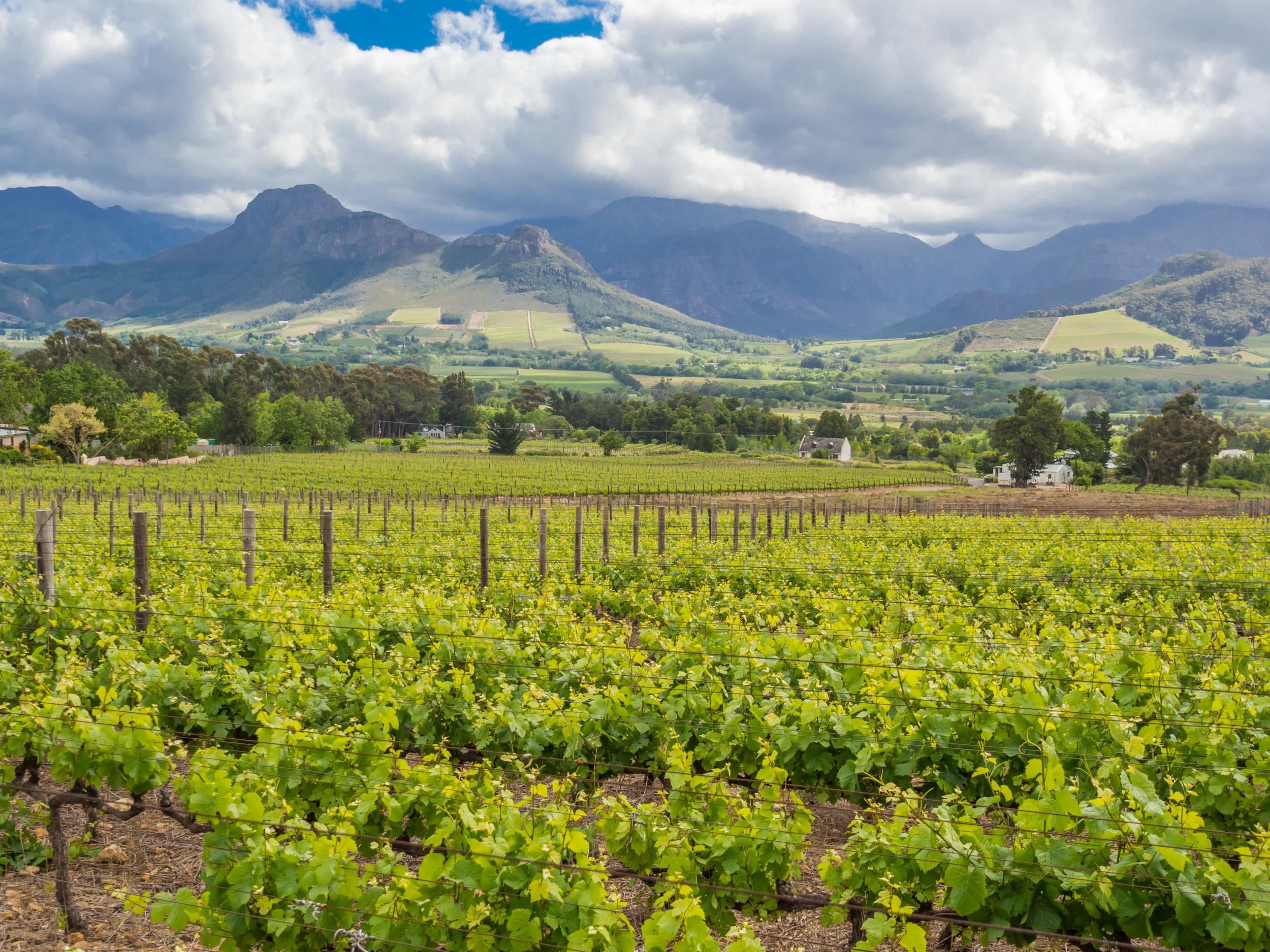 Franschhoek is South Africa's premiere wine region