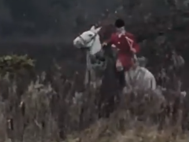 Huntsman appears to strike protester during trail hunt in Cheshire