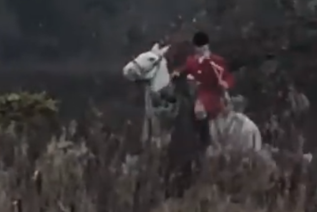 Huntsman appears to strike protester during trail hunt in Cheshire