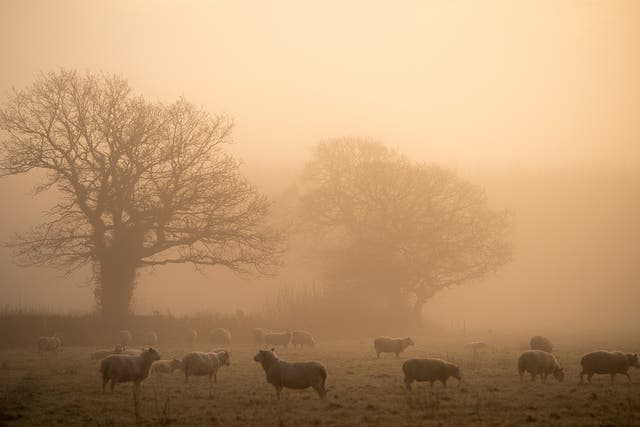 Most areas will be cold and frosty on Tuesday night, with patches of freezing fog and showers