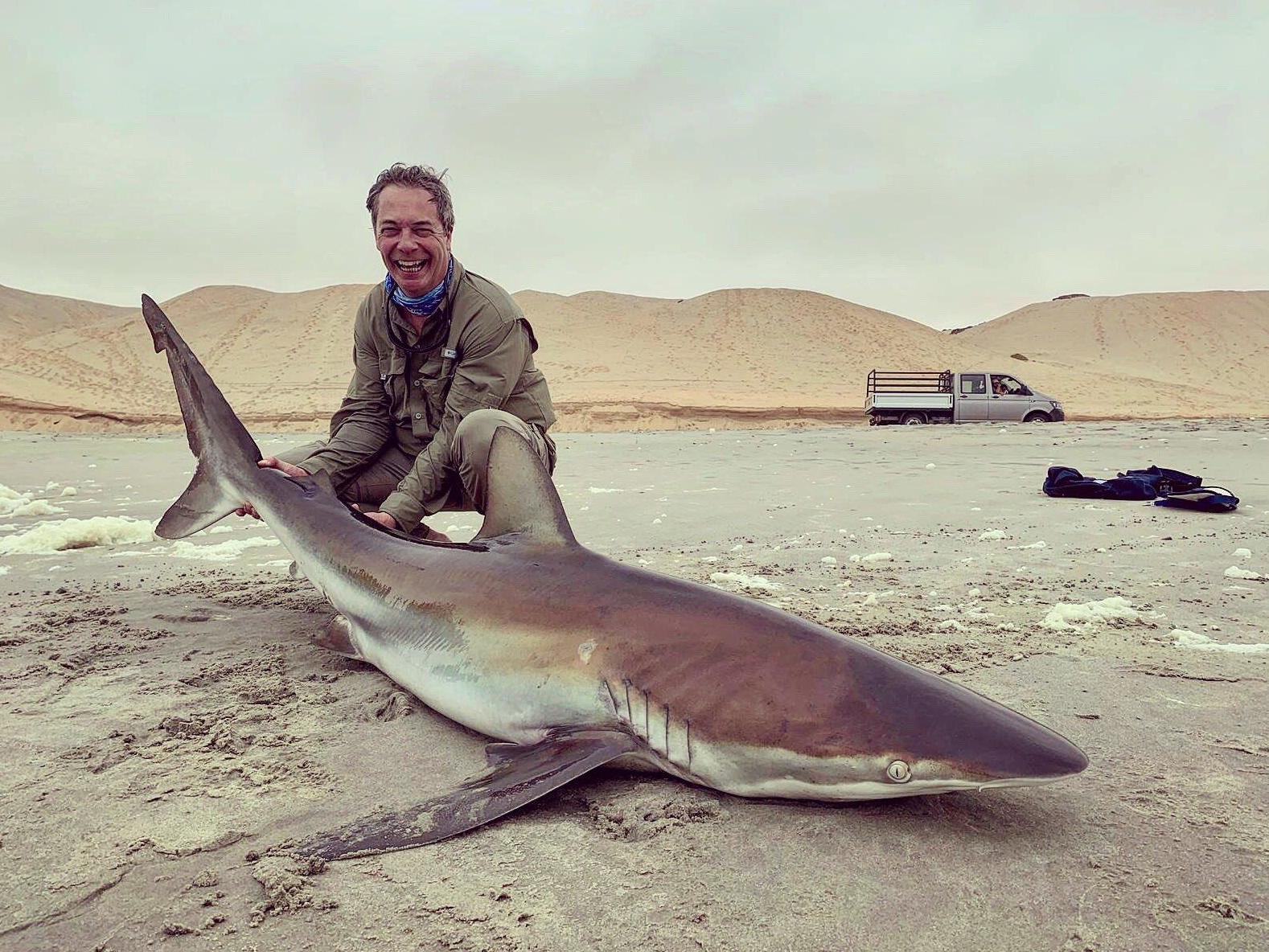 Nigel Farage with hooked bronze whaler shark