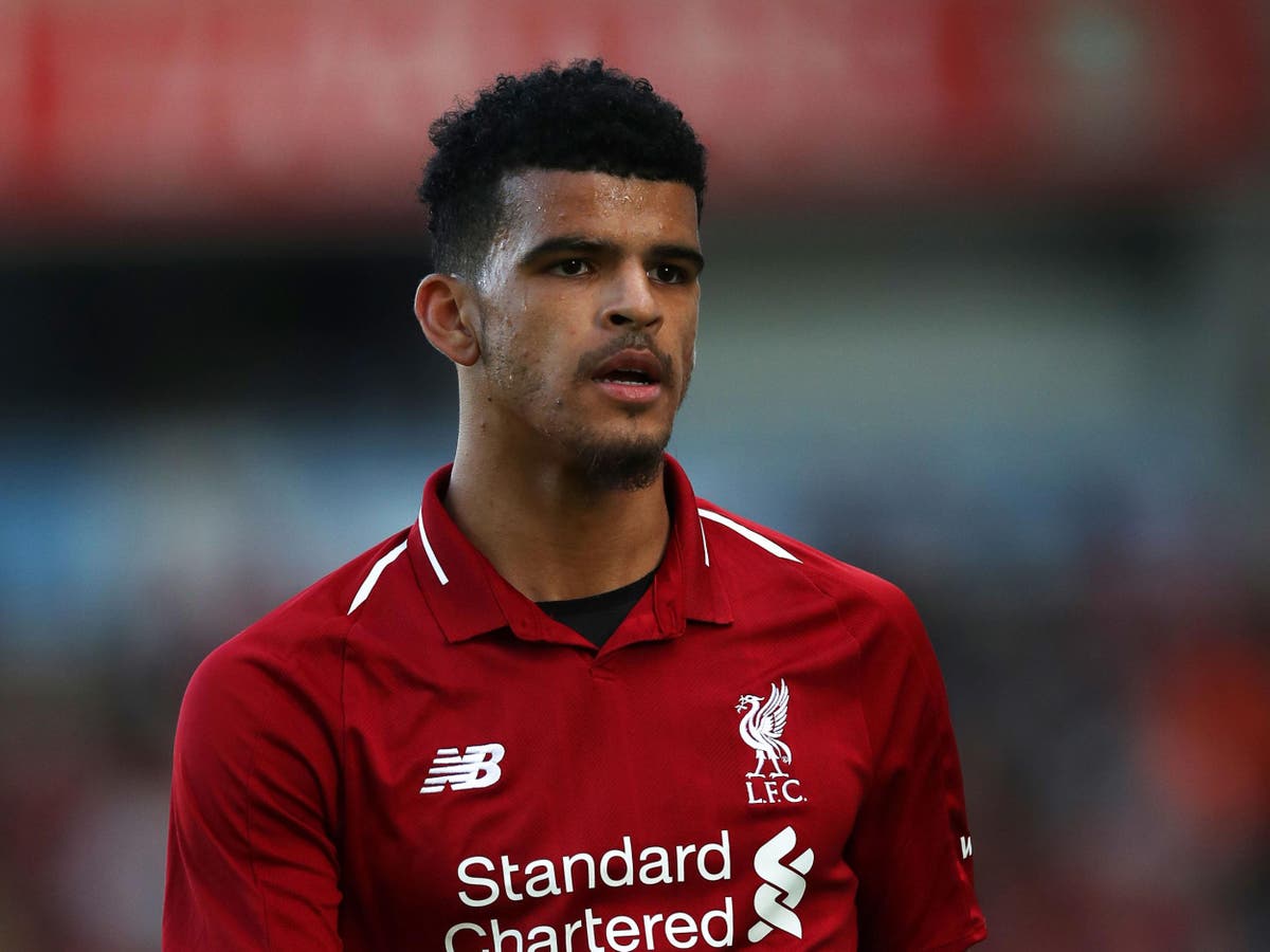  Dominic Solanke of Liverpool F.C. looks on during a match.