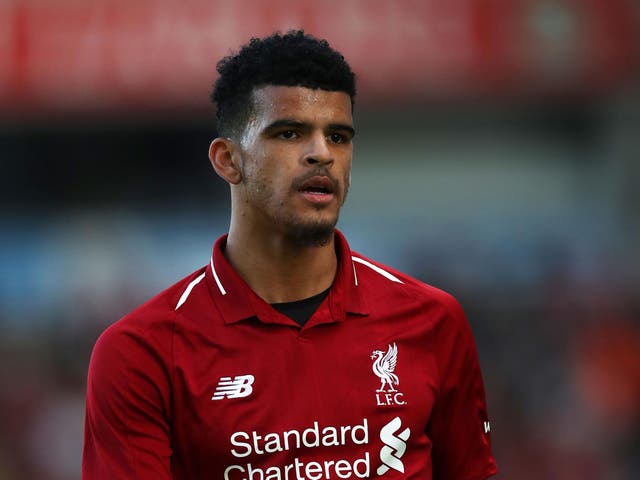 Dominic Solanke is yet to play for Liverpool this season