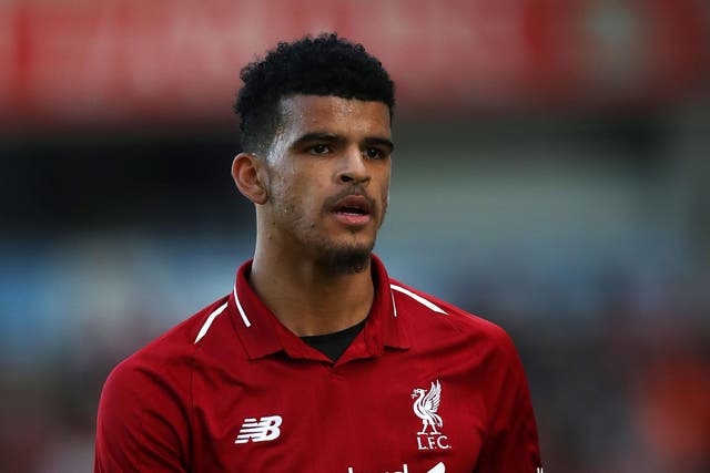 Dominic Solanke is yet to play for Liverpool this season