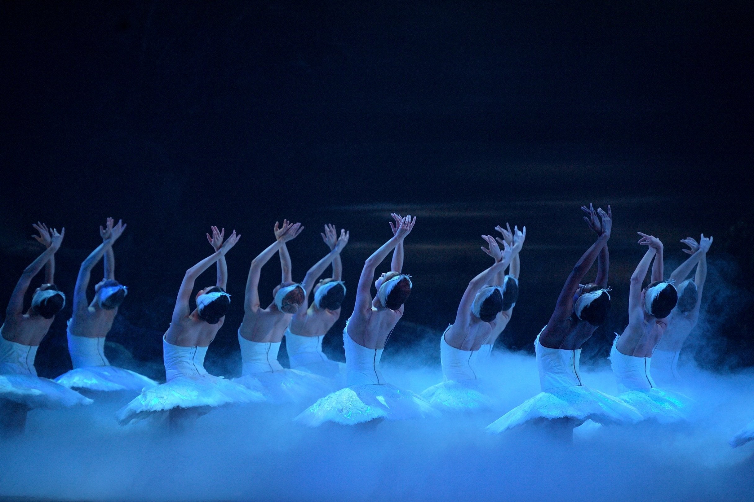 The English National Ballet performs a traditional staging of ‘Swan Lake’ with lively confidence