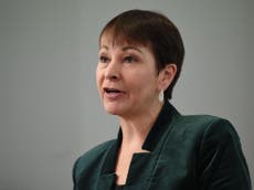 Caroline Lucas proposes all-female ‘emergency cabinet’ to stop Brexit