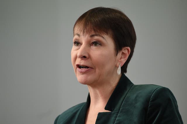 Caroline Lucas says she is prepared to support Corbyn as caretaker PM