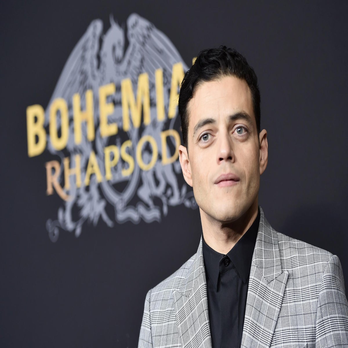 Which Rami Malek Role Reigns: 'Mr. Robot' or 'Bohemian Rhapsody'? -  GoldDerby