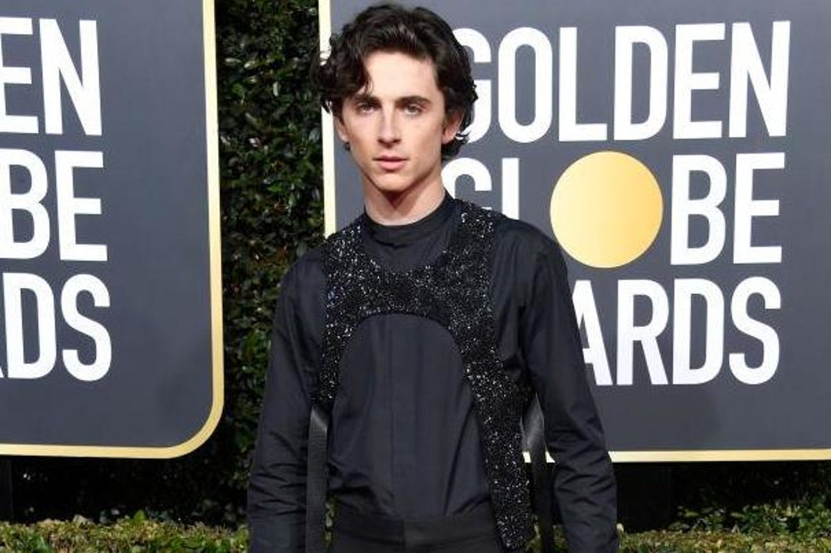 Timothée Chalamet explains 'sex harness' he wore to the Golden Globes, The  Independent