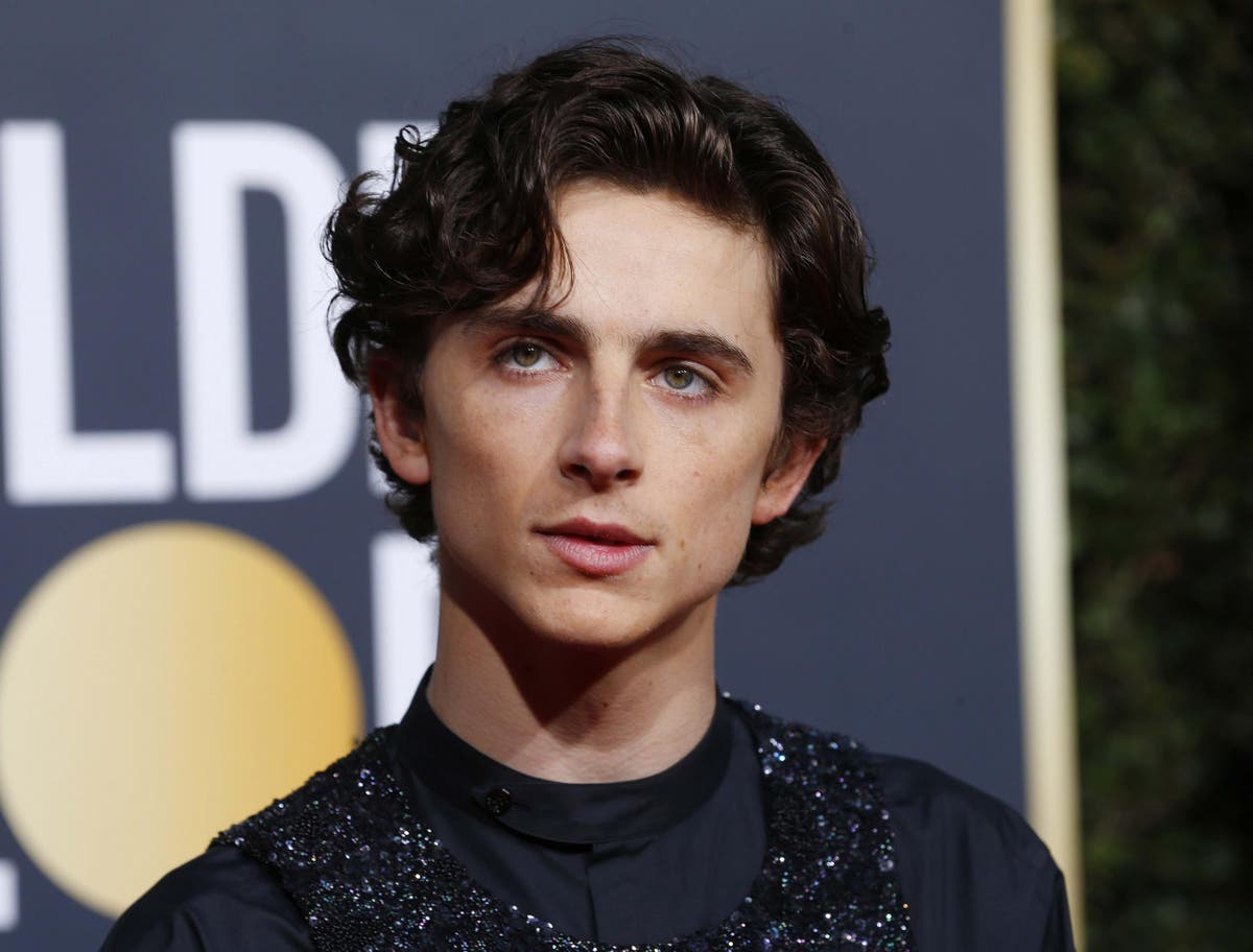 Timothee Chalamet baffles Golden Globes viewers with outfit featuring