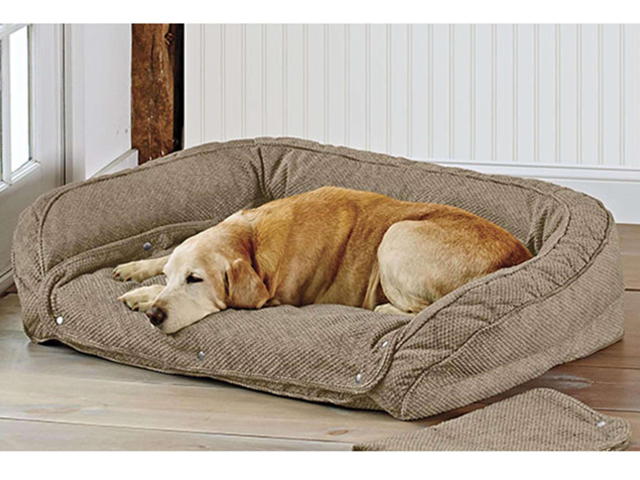 10 Best Dog Beds The Independent