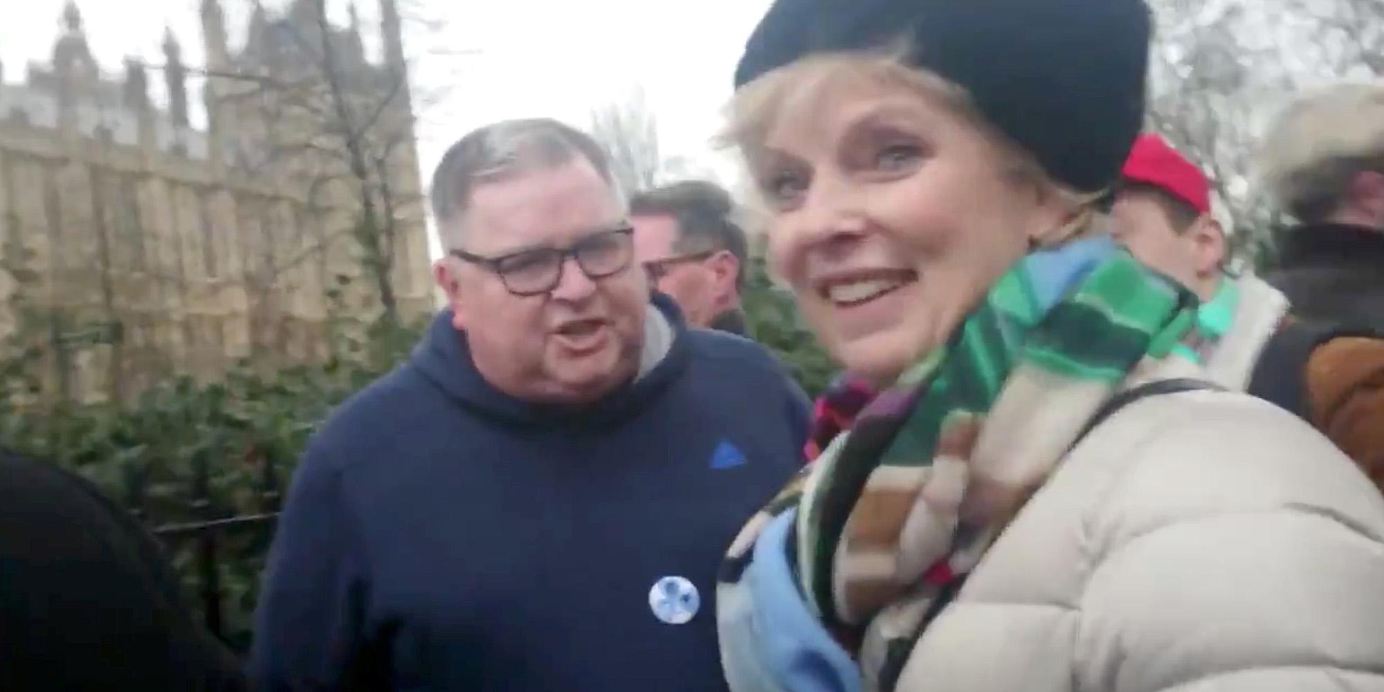 Protesters have followed and ranted at Anna Soubry