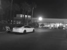 Self-driving Tesla 'kills' robot in Las Vegas crash