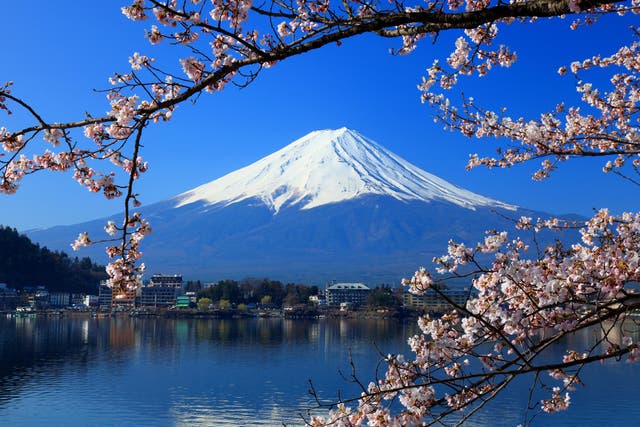 Cherry blossom in front of Japan's Mount Fuji
