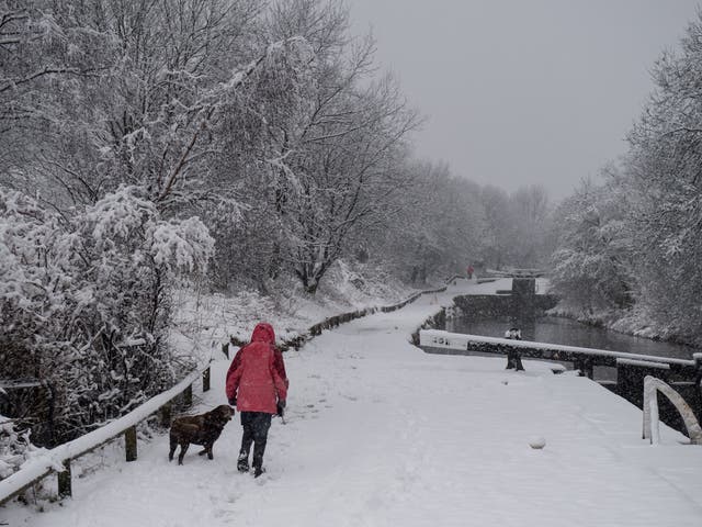 A woman walks her dog through the snow along a canal towpath in the village of Marsden, east of Manchester in northern England