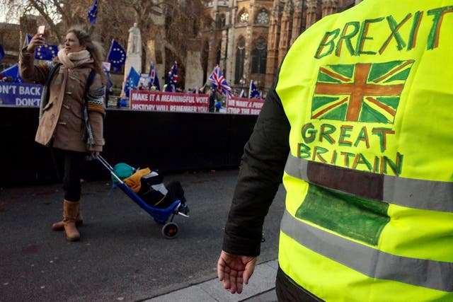 A mother photographs herself outside the Houses of Parliament in between pro-Brexit and anti-Brexit protesters