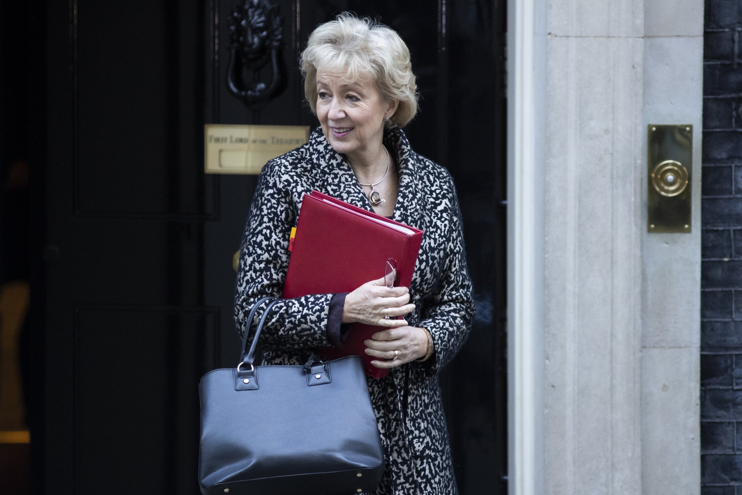 Leadsom’s leadership hopes have been revived (Getty)