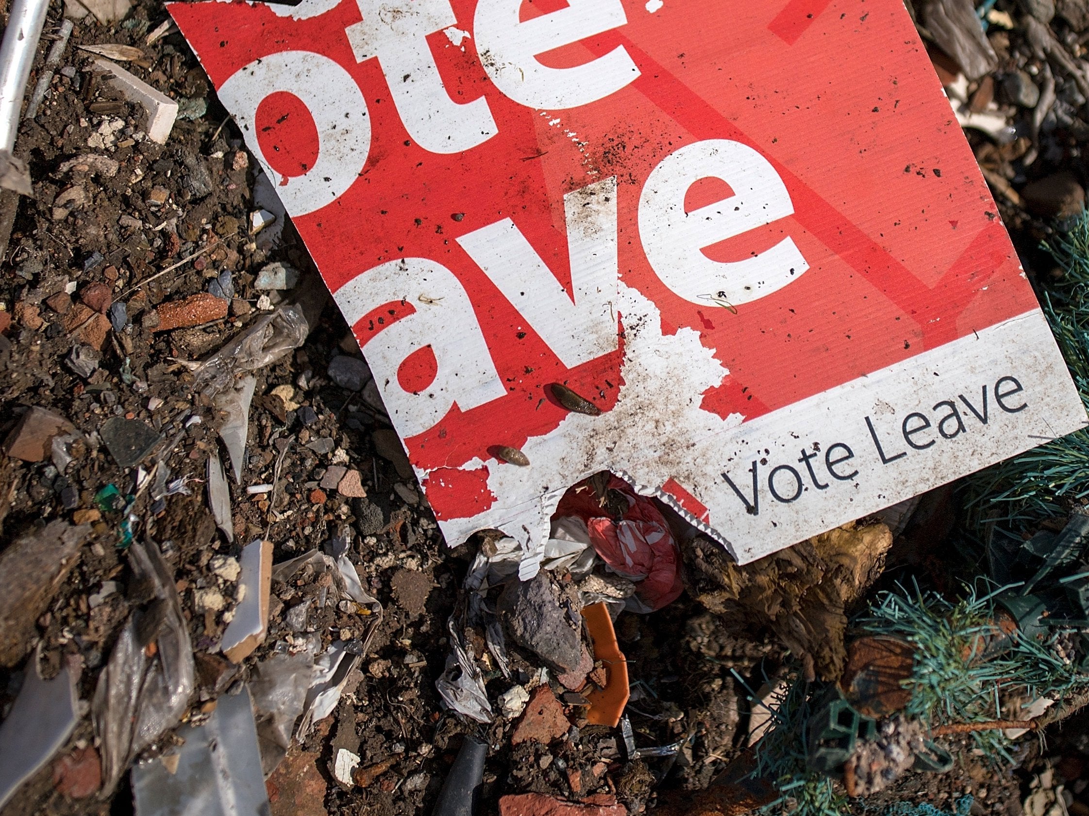 Vote Leave was referred to the police last year for breaching campaign spending limits