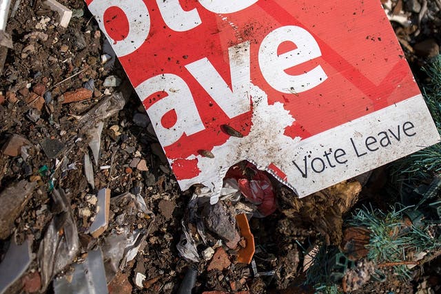 Vote Leave was referred to the police last year for breaching campaign spending limits