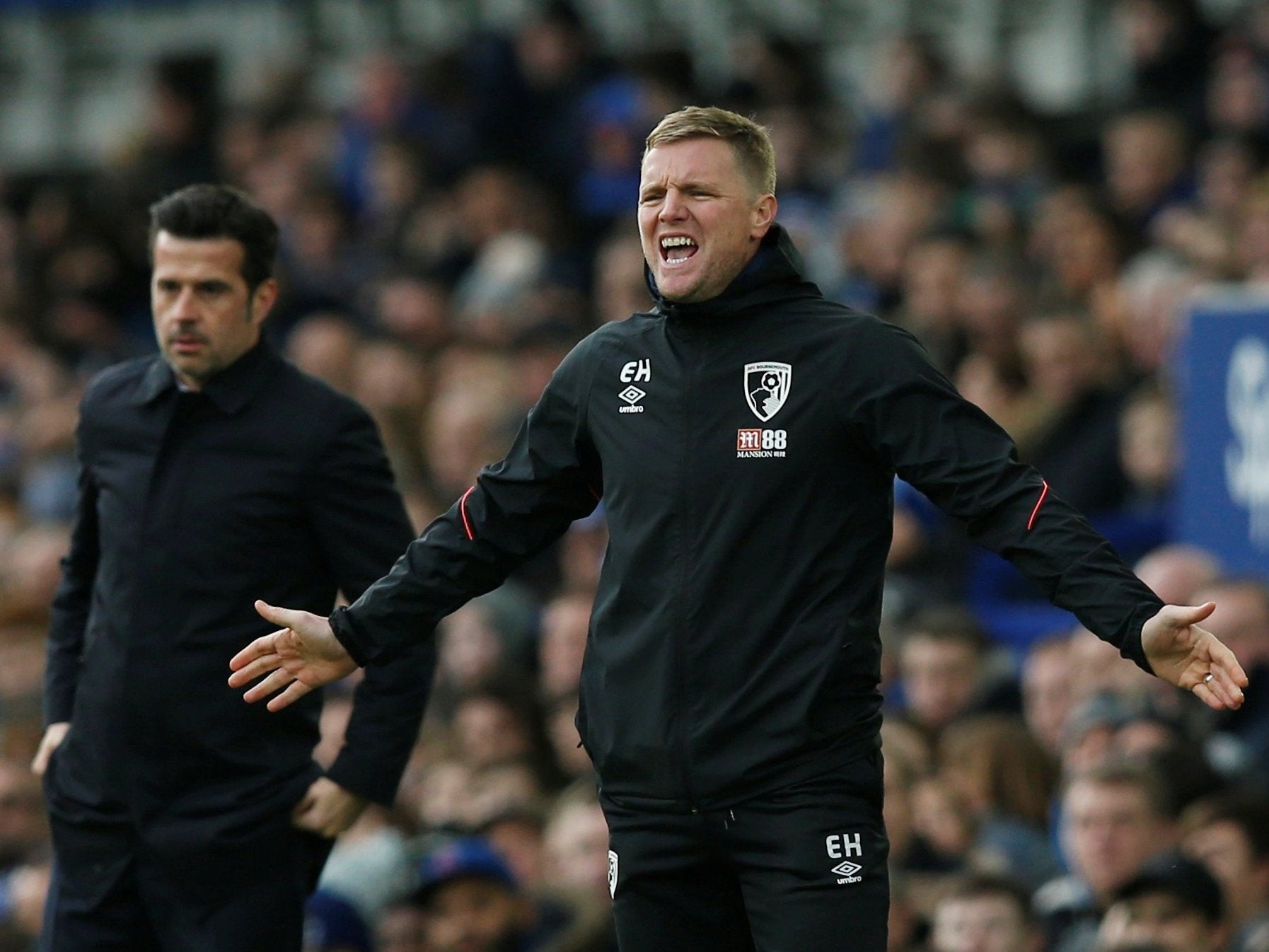 Eddie Howe's Bournemouth have enjoyed a fruitful January window