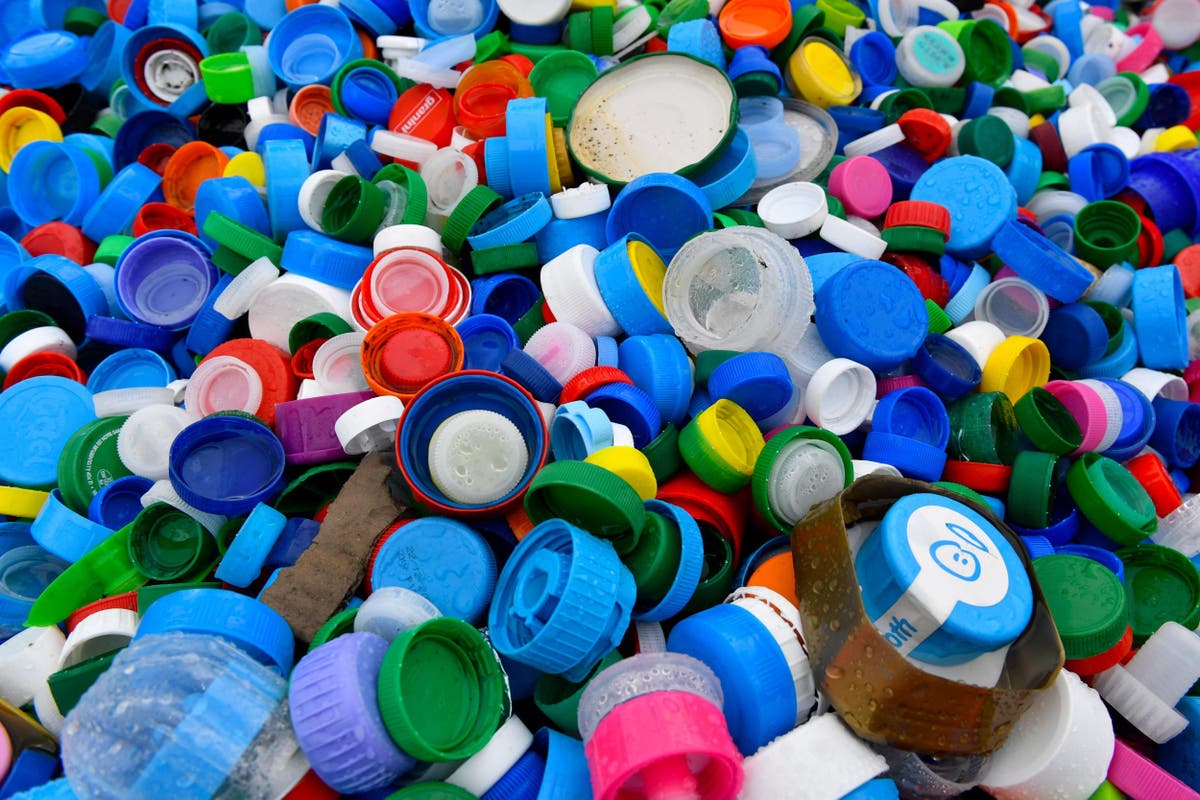 Companies 'making up excuses' to dodge plastic bottle recycling scheme, says marine charity