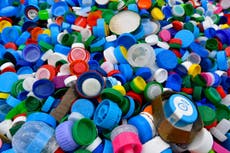 Companies 'making up excuses' to dodge plastic bottle recycling scheme