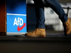 Security services ‘to probe whether far-right AfD getting too extreme’