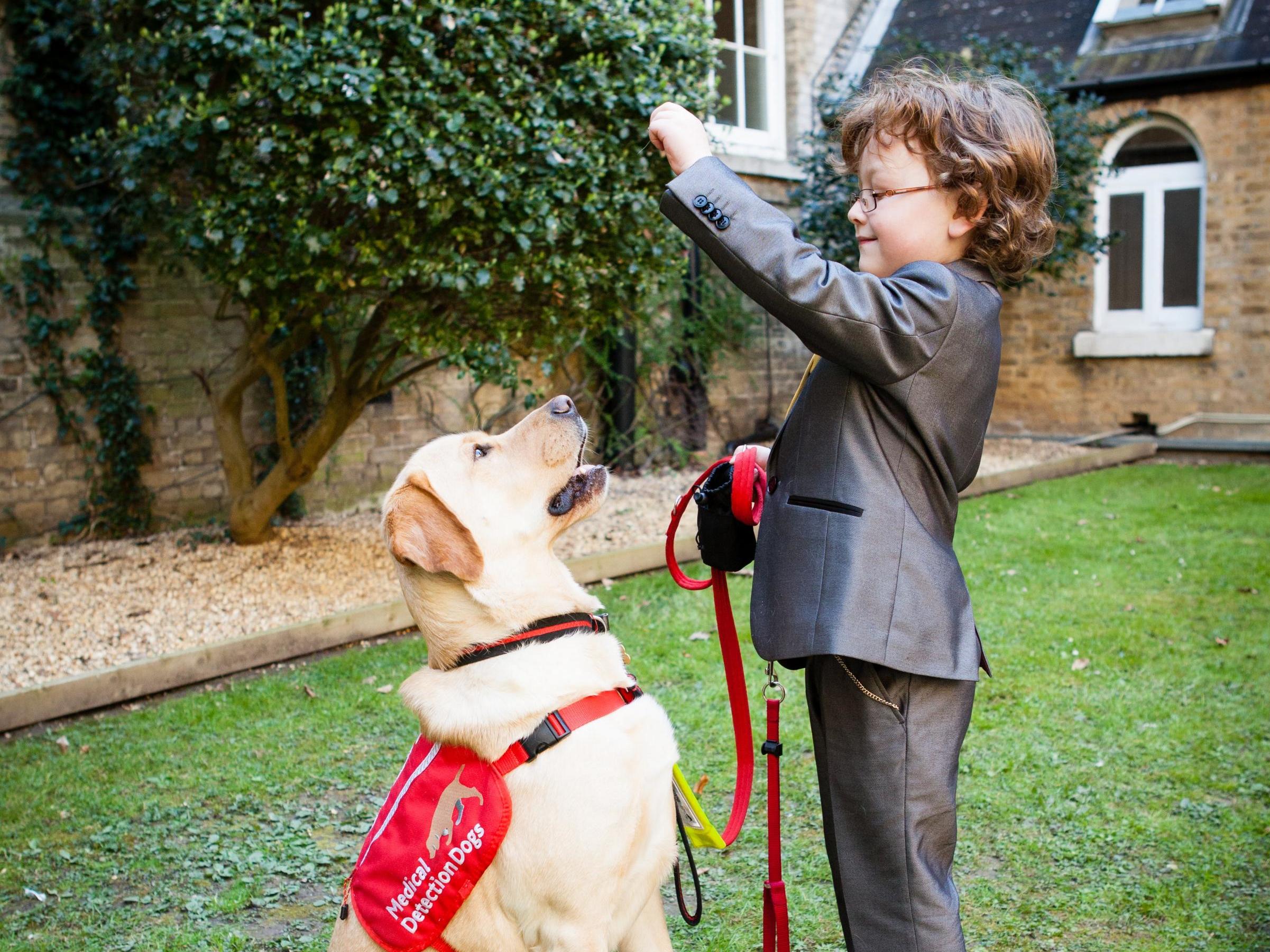 Archie was diagnosed with type 1 diabetes just after his first birthday and teamed up with detection dog Domino