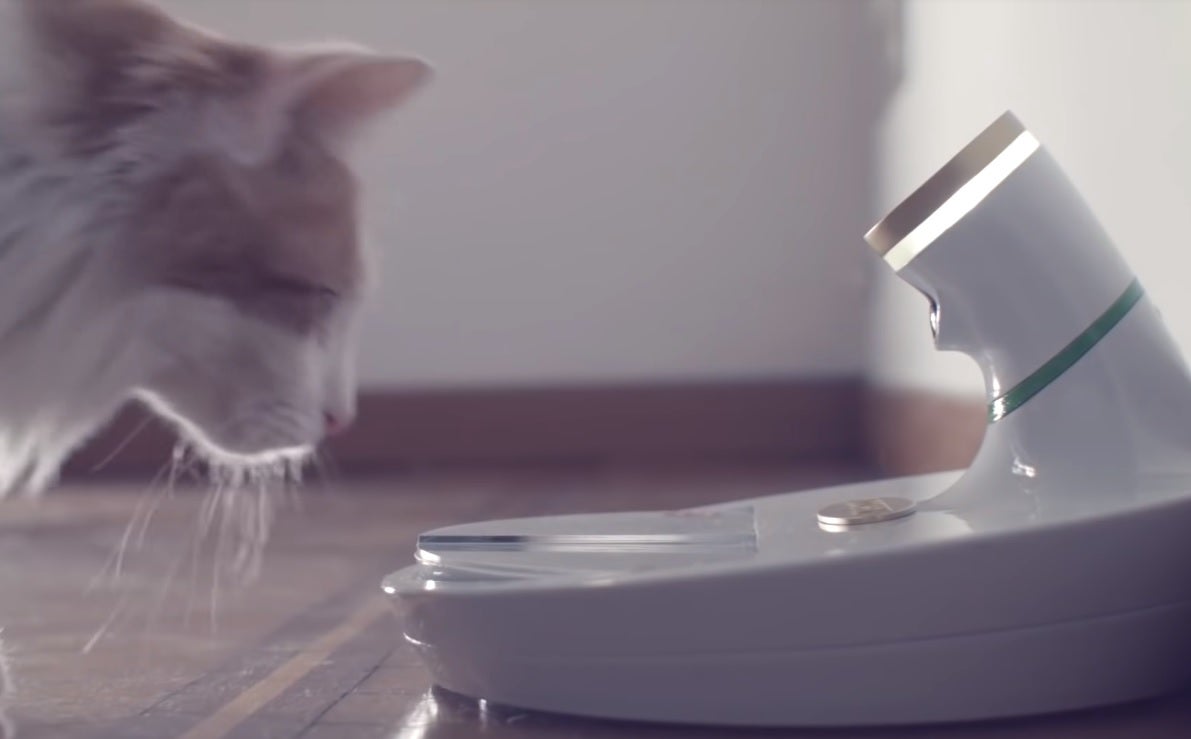 The Volta Mookkie recognizes your pets face with its in-built camera